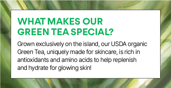 WHAT MAKES OUR GREEN TEA SPECIAL?